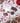 3 Tabletas Chocolate Negro Arándanos naturales · 100 g.