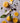 Chocolatina Chocolate Negro con Naranja Natural · 25g